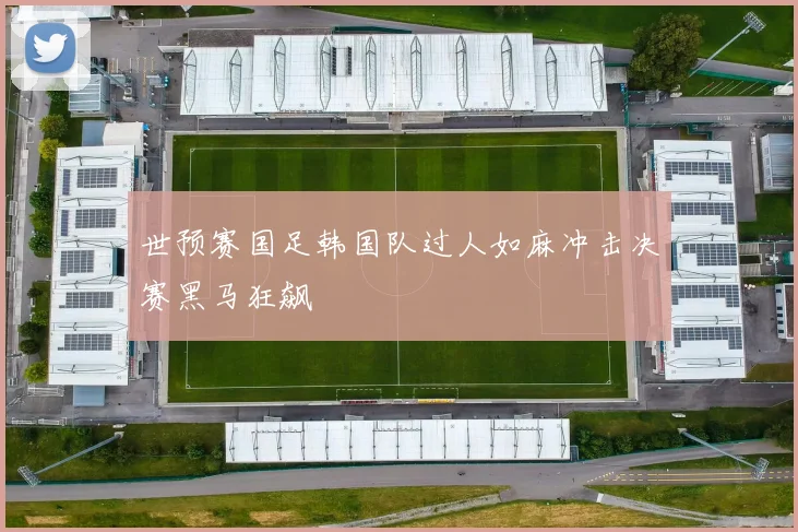 世预赛国足韩国队过人如麻冲击决赛黑马狂飙