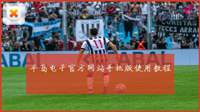 半岛电子官方网站手机版使用教程