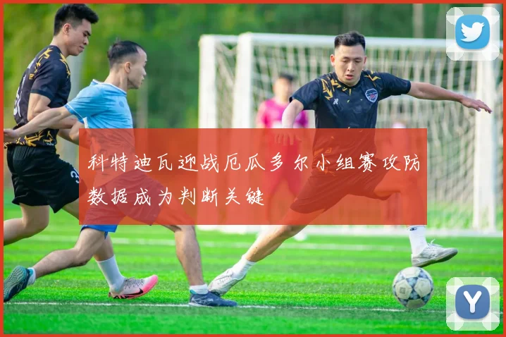 科特迪瓦迎战厄瓜多尔小组赛攻防数据成为判断关键