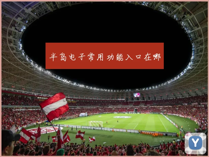 半岛电子常用功能入口在哪