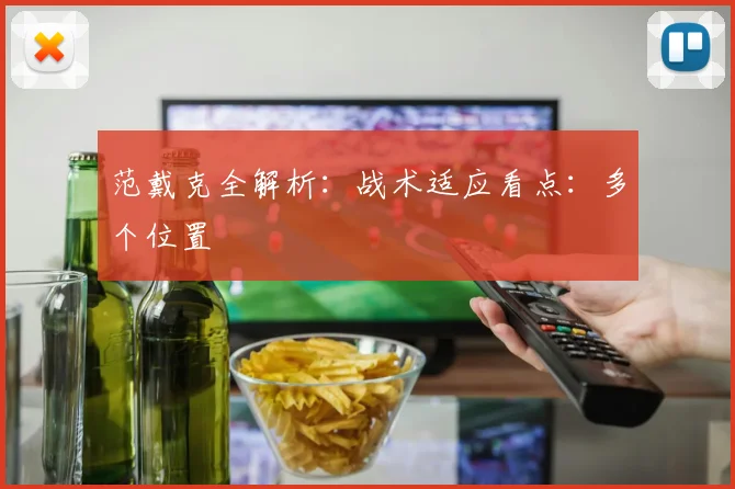 范戴克全解析：战术适应看点：多个位置