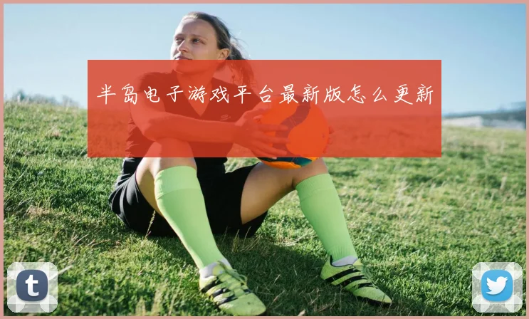 半岛电子游戏平台最新版怎么更新
